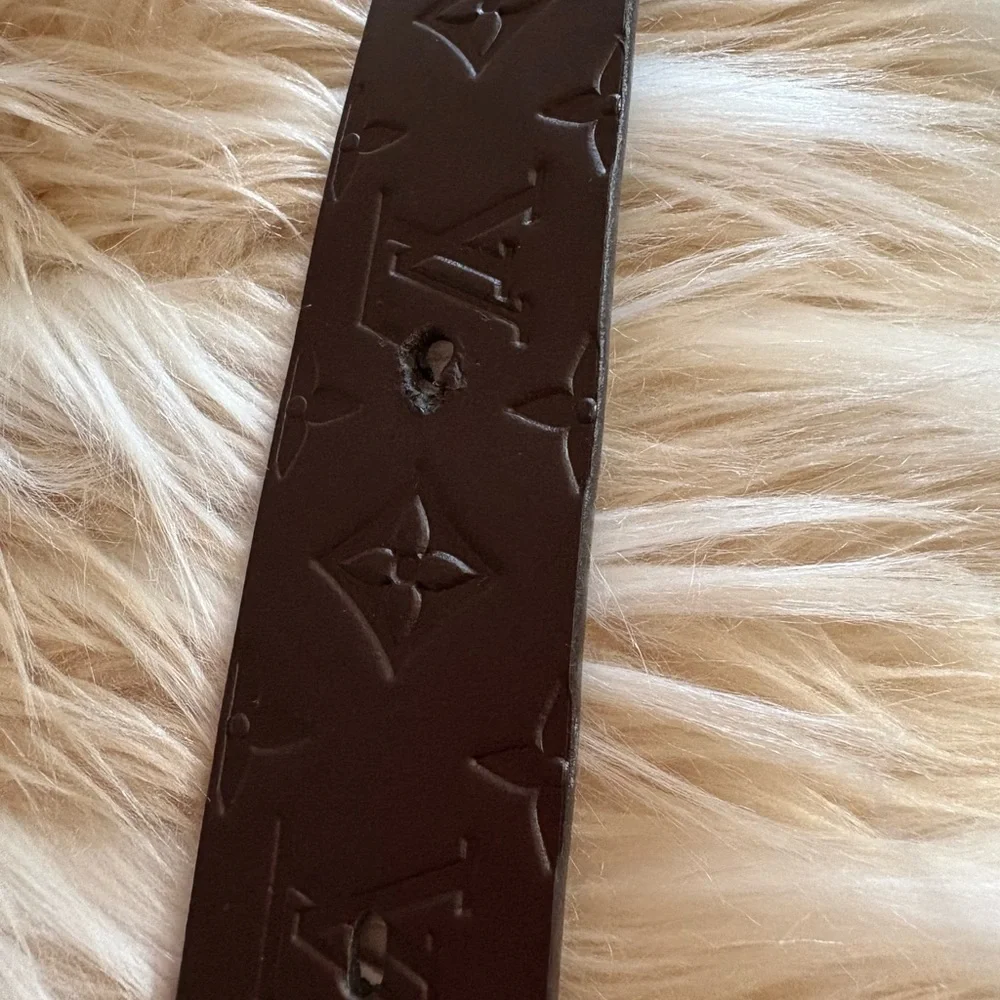 Brown leather Belt with Silver removable Buckle